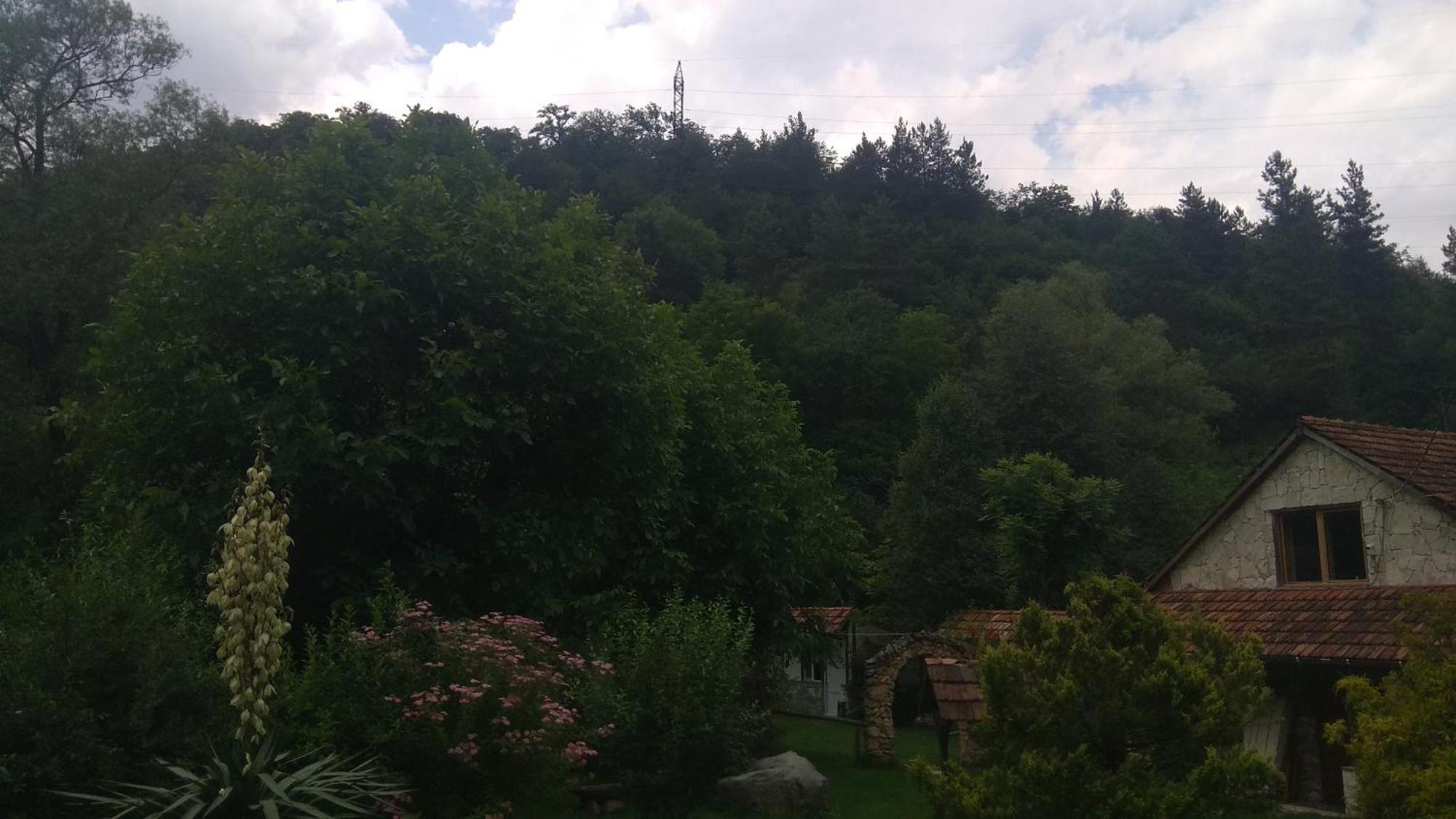 Bed and Breakfast Eco Garden Dilijan Esterno foto