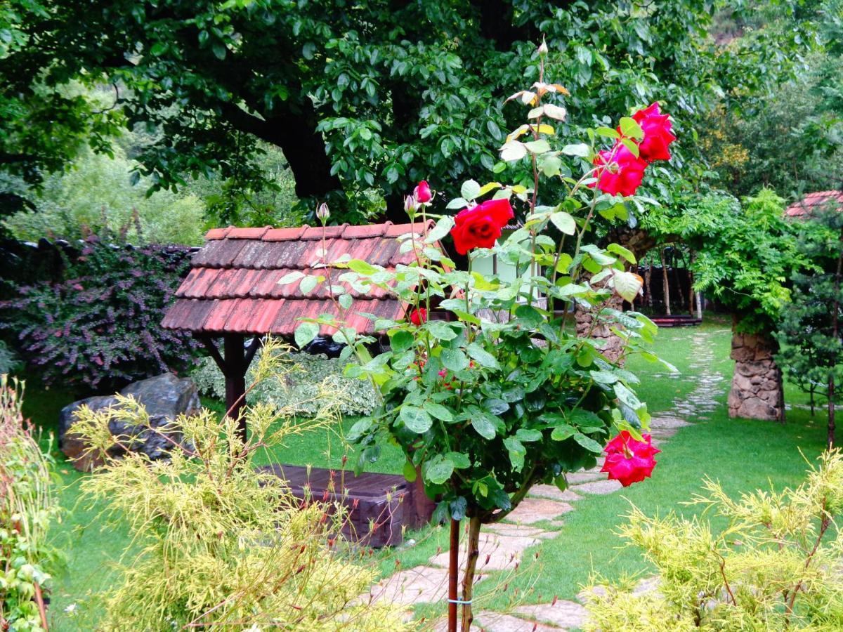 Bed and Breakfast Eco Garden Dilijan Esterno foto